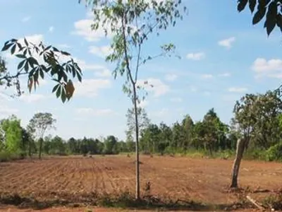 16 Rai Of Khon Kaen Land By Main Highway