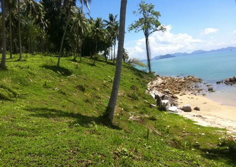 Spectacular 20 Rai Land On Coconut Island