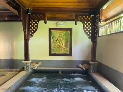 Exclusive Wellness Spa & Sanctuary – Phuket Town — photo 8