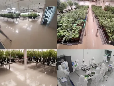 Licensed Medical Cannabis Cultivation Facility For Sale – Chonburi, Thailand — photo 3