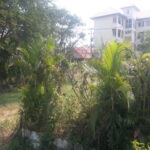 10 rai of Khon Kaen university land